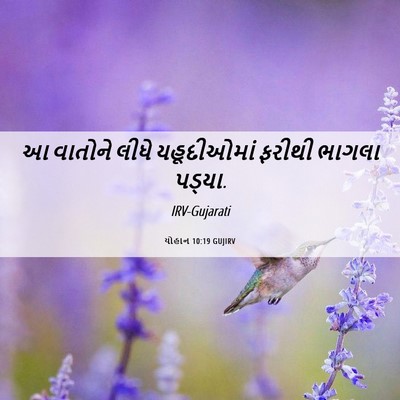 Picture 06 - યોહાન 10:19 GUJIRV - આ વાતોને લીધે - Bible Verse Picture