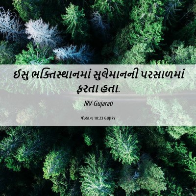 Picture 06 - યોહાન 10:23 GUJIRV - ઈસુ ભક્તિસ્થાનમાં - Bible Verse Picture