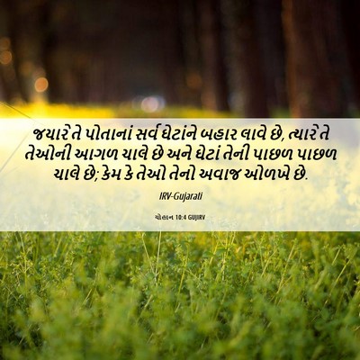 Picture 06 - યોહાન 10:4 GUJIRV - જયારે તે પોતાનાં - Bible Verse Picture