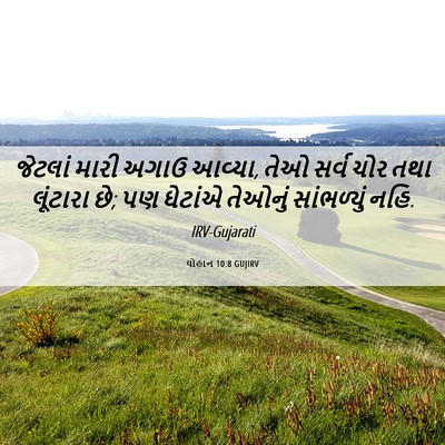 Picture 06 - યોહાન 10:8 GUJIRV - જેટલાં મારી અગાઉ - Bible Verse Picture