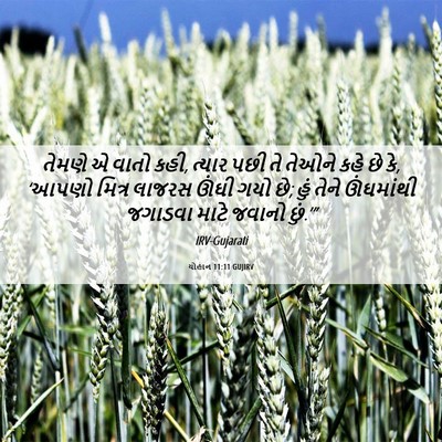 Picture 06 - યોહાન 11:11 GUJIRV - તેમણે એ વાતો કહી, - Bible Verse Picture