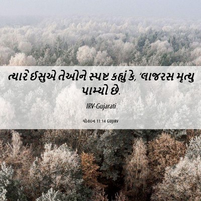 Picture 06 - યોહાન 11:14 GUJIRV - ત્યારે ઈસુએ તેઓને - Bible Verse Picture