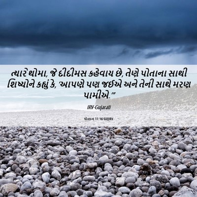 Picture 06 - યોહાન 11:16 GUJIRV - ત્યારે થોમા, જે - Bible Verse Picture