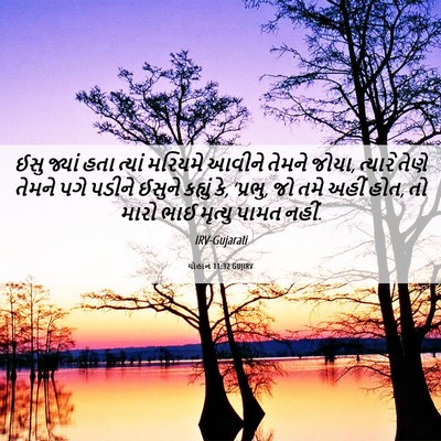 Picture 06 - યોહાન 11:32 GUJIRV - ઈસુ જ્યાં હતા - Bible Verse Picture