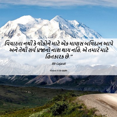 Picture 06 - યોહાન 11:50 GUJIRV - વિચારતા નથી કે - Bible Verse Picture