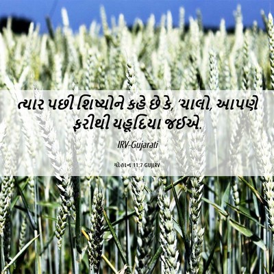 Picture 06 - યોહાન 11:7 GUJIRV - ત્યાર પછી - Bible Verse Picture