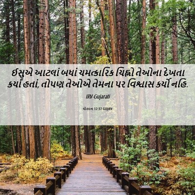 Picture 06 - યોહાન 12:37 GUJIRV - ઈસુએ આટલાં બધાં - Bible Verse Picture