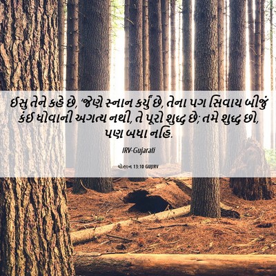 Picture 06 - યોહાન 13:10 GUJIRV - ઈસુ તેને કહે છે, - Bible Verse Picture
