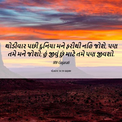 Picture 06 - યોહાન 14:19 GUJIRV - થોડીવાર પછી - Bible Verse Picture