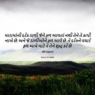 Picture 06 - યોહાન 15:2 GUJIRV - મારામાંની દરેક - Bible Verse Picture
