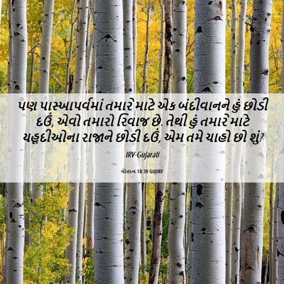 Picture 06 - યોહાન 18:39 GUJIRV - પણ પાસ્ખાપર્વમાં - Bible Verse Picture