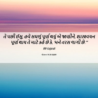 Picture 06 - યોહાન 19:28 GUJIRV - તે પછી ઈસુ, હવે - Bible Verse Picture