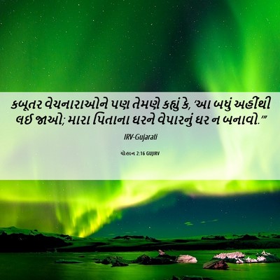 Picture 06 - યોહાન 2:16 GUJIRV - કબૂતર વેચનારાઓને - Bible Verse Picture