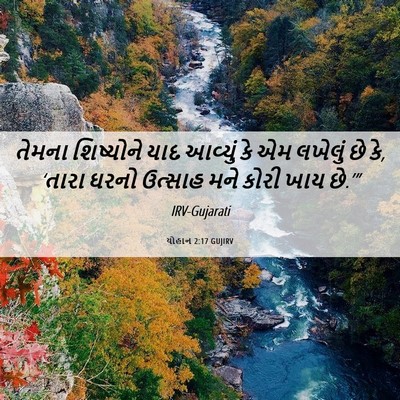 Picture 06 - યોહાન 2:17 GUJIRV - તેમના શિષ્યોને - Bible Verse Picture