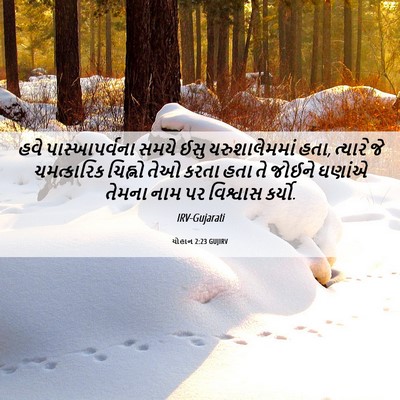 Picture 06 - યોહાન 2:23 GUJIRV - હવે પાસ્ખાપર્વના - Bible Verse Picture