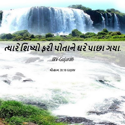 Picture 06 - યોહાન 20:10 GUJIRV - ત્યારે શિષ્યો ફરી - Bible Verse Picture