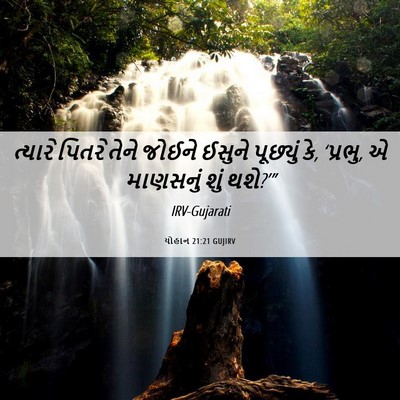Picture 06 - યોહાન 21:21 GUJIRV - ત્યારે પિતરે તેને - Bible Verse Picture