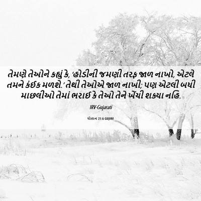 Picture 06 - યોહાન 21:6 GUJIRV - તેમણે તેઓને - Bible Verse Picture