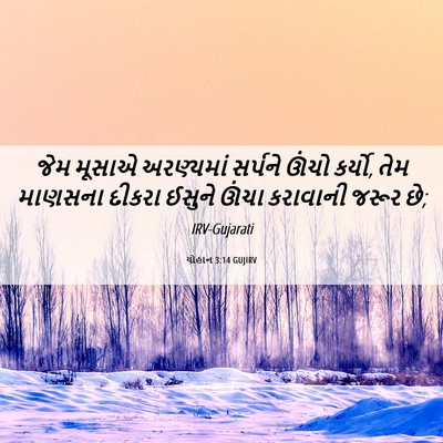 Picture 06 - યોહાન 3:14 GUJIRV - જેમ મૂસાએ - Bible Verse Picture