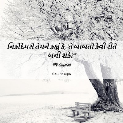 Picture 06 - યોહાન 3:9 GUJIRV - નિકોદેમસે તેમને - Bible Verse Picture