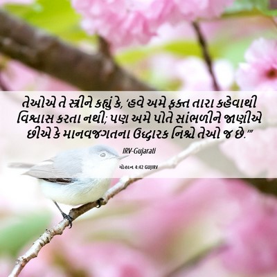 Picture 06 - યોહાન 4:42 GUJIRV - તેઓએ તે સ્ત્રીને - Bible Verse Picture