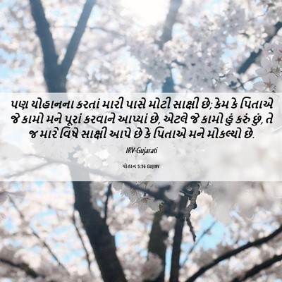 Picture 06 - યોહાન 5:36 GUJIRV - પણ યોહાનના કરતાં - Bible Verse Picture
