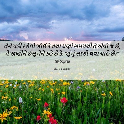 Picture 06 - યોહાન 5:6 GUJIRV - તેને પડી રહેલો - Bible Verse Picture