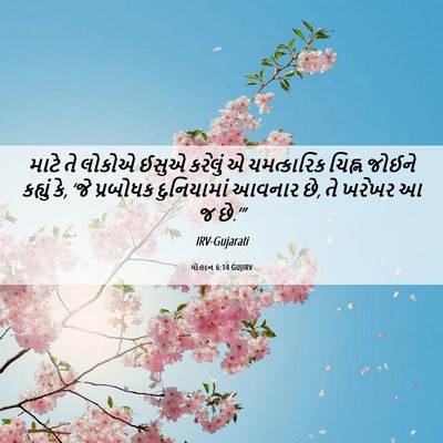 Picture 06 - યોહાન 6:14 GUJIRV - માટે તે લોકોએ ઈસુએ - Bible Verse Picture
