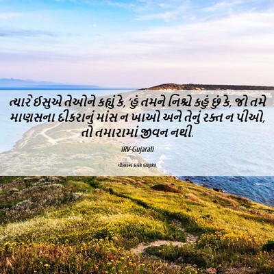 Picture 06 - યોહાન 6:53 GUJIRV - ત્યારે ઈસુએ તેઓને - Bible Verse Picture