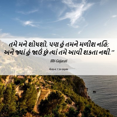 Picture 06 - યોહાન 7:34 GUJIRV - તમે મને શોધશો, પણ - Bible Verse Picture