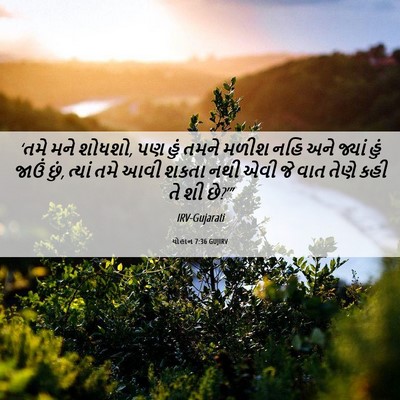 Picture 06 - યોહાન 7:36 GUJIRV - ‘તમે મને શોધશો, પણ - Bible Verse Picture