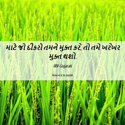Picture 06 - યોહાન 8:36 GUJIRV - માટે જો દીકરો તમને - Bible Verse Picture