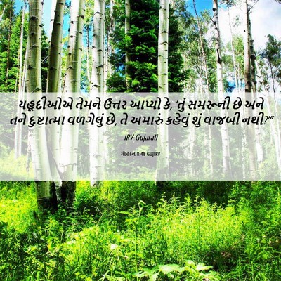 Picture 06 - યોહાન 8:48 GUJIRV - યહૂદીઓએ તેમને - Bible Verse Picture
