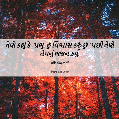 Picture 06 - યોહાન 9:38 GUJIRV - તેણે કહ્યું કે, - Bible Verse Picture