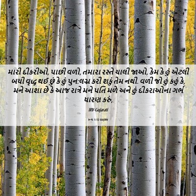 Picture 06 - રૂથ 1:12 GUJIRV - મારી દીકરીઓ, પાછી - Bible Verse Picture