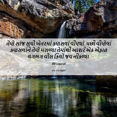 Picture 06 - રૂથ 2:17 GUJIRV - તેણે સાંજ સુધી - Bible Verse Picture