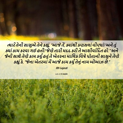 Picture 06 - રૂથ 2:19 GUJIRV - ત્યારે તેની સાસુએ - Bible Verse Picture