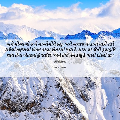 Picture 06 - રૂથ 2:2 GUJIRV - અને મોઆબી રૂથે - Bible Verse Picture