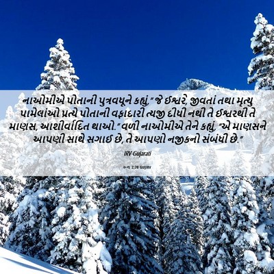 Picture 06 - રૂથ 2:20 GUJIRV - નાઓમીએ પોતાની - Bible Verse Picture