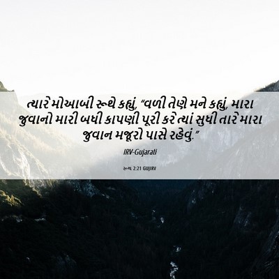 Picture 06 - રૂથ 2:21 GUJIRV - ત્યારે મોઆબી રૂથે - Bible Verse Picture