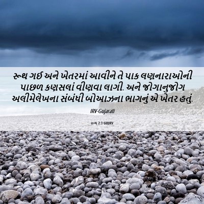 Picture 06 - રૂથ 2:3 GUJIRV - રૂથ ગઈ અને ખેતરમાં - Bible Verse Picture