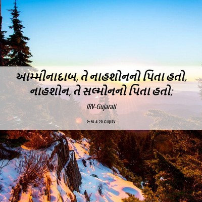 Picture 06 - રૂથ 4:20 GUJIRV - આમ્મીનાદાબ, તે - Bible Verse Picture
