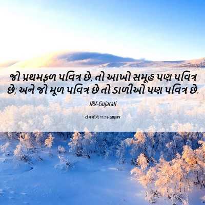 Picture 06 - રોમનોને 11:16 GUJIRV - જો પ્રથમફળ પવિત્ર - Bible Verse Picture