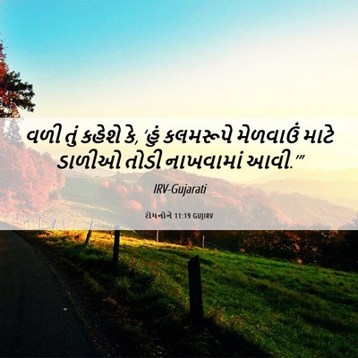 Picture 06 - રોમનોને 11:19 GUJIRV - વળી તું કહેશે કે, - Bible Verse Picture