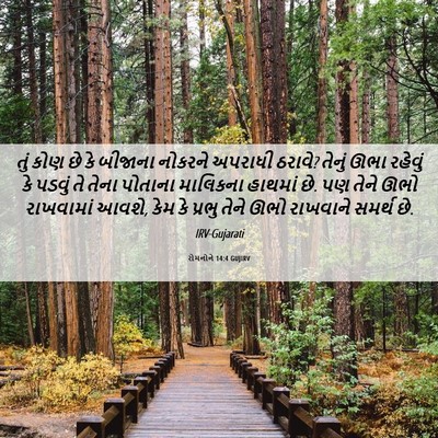 Picture 06 - રોમનોને 14:4 GUJIRV - તું કોણ છે કે - Bible Verse Picture