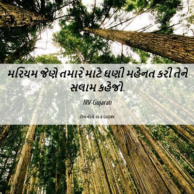 Picture 06 - રોમનોને 16:6 GUJIRV - મરિયમ જેણે તમારે - Bible Verse Picture