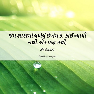 Picture 06 - રોમનોને 3:10 GUJIRV - જેમ શાસ્ત્રમાં - Bible Verse Picture