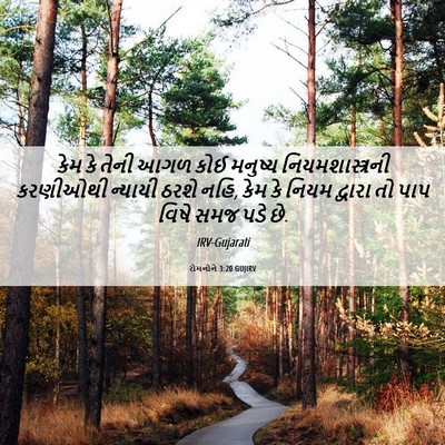 Picture 06 - રોમનોને 3:20 GUJIRV - કેમ કે તેની આગળ કોઈ - Bible Verse Picture