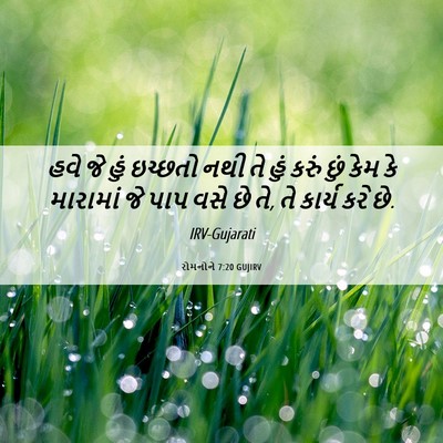 Picture 06 - રોમનોને 7:20 GUJIRV - હવે જે હું ઇચ્છતો - Bible Verse Picture