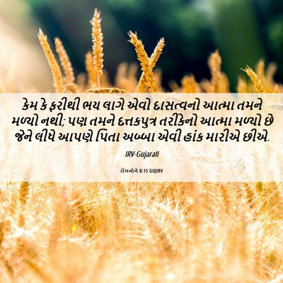 Picture 06 - રોમનોને 8:15 GUJIRV - કેમ કે ફરીથી ભય - Bible Verse Picture